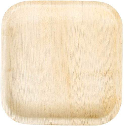 biodegradable 10 inch square areca leaf plates
