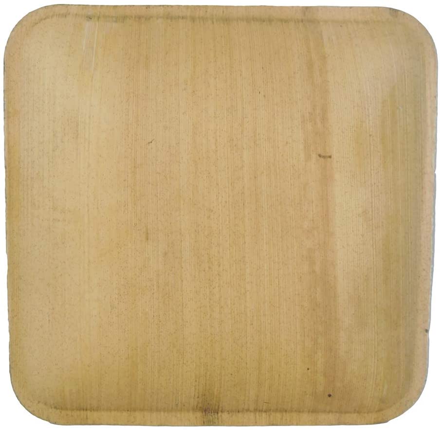 eco-friendly 6 inch palm leaf square plates