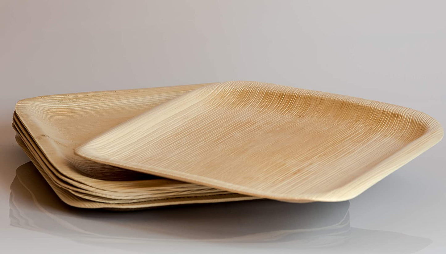 6 inch square disposable palm leaf plates for picnics