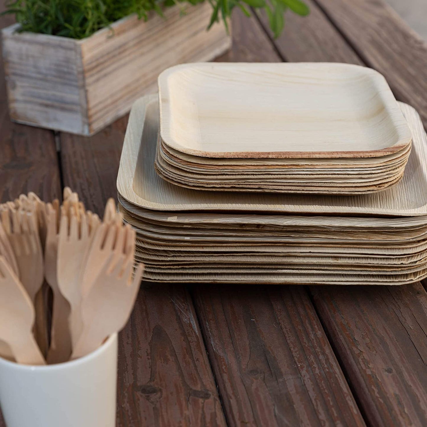 biodegradable 8 inch square plates for dinnerware
