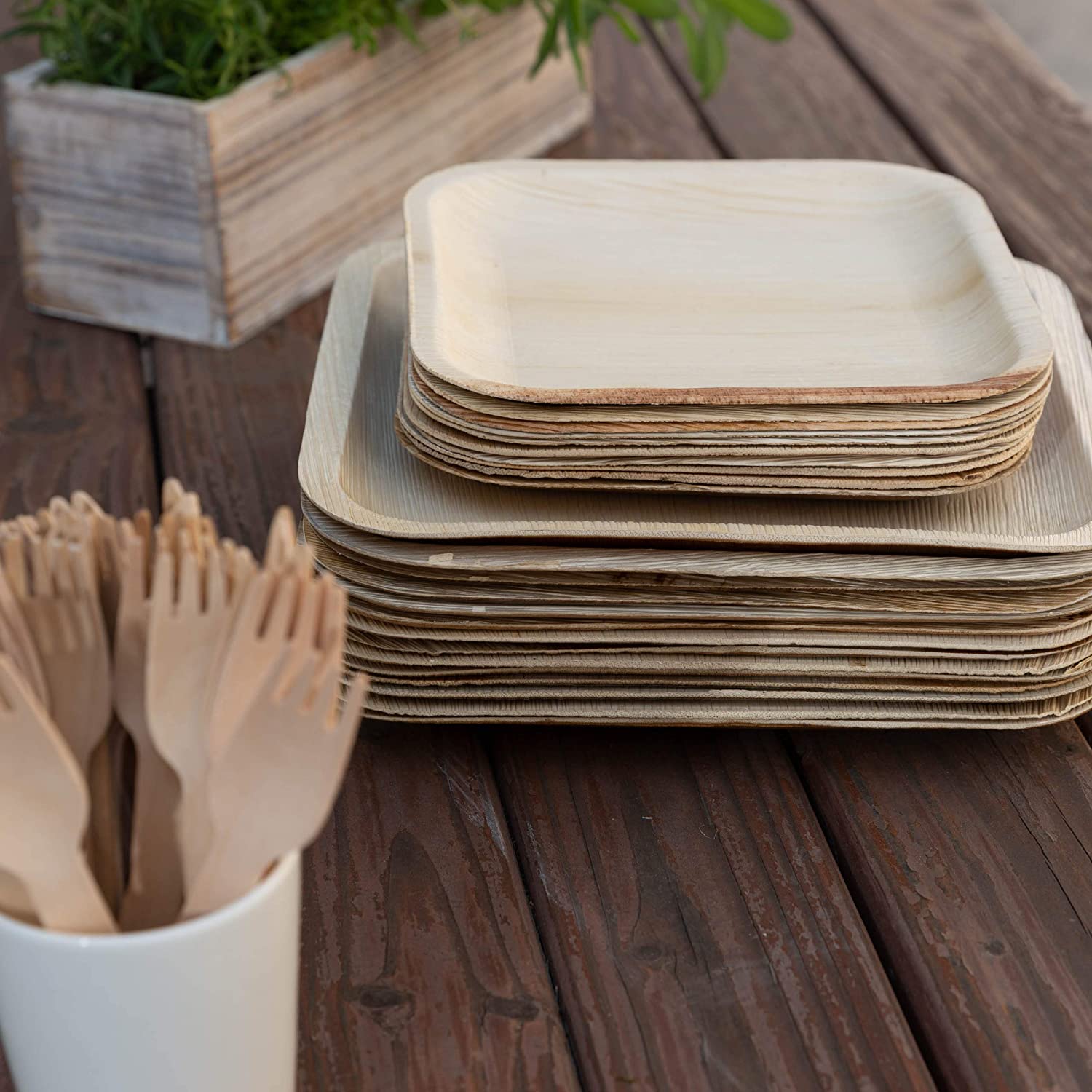 biodegradable 8 inch square plates for dinnerware