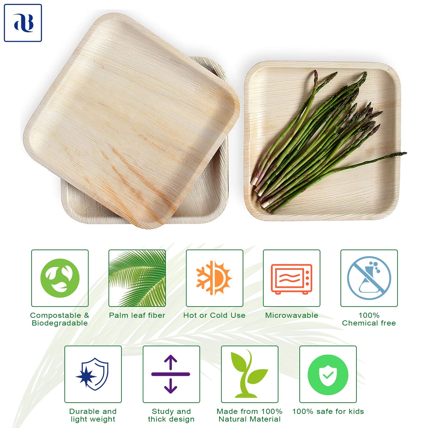 10 inch square biodegradable plates for events
