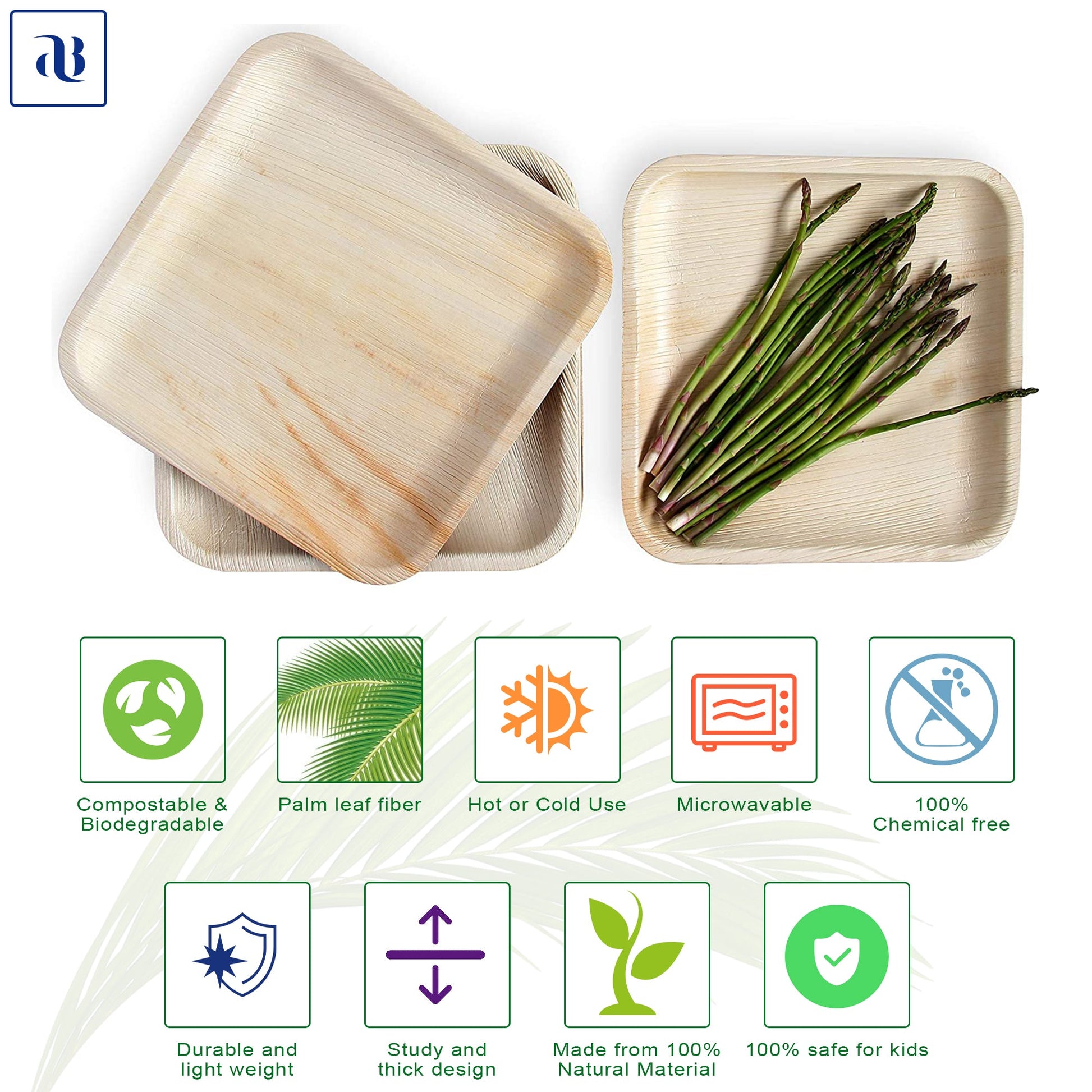 10 inch square biodegradable plates for events