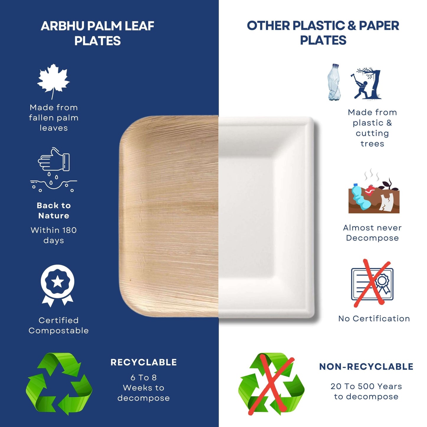 eco-friendly palm leaf plates for appetizers